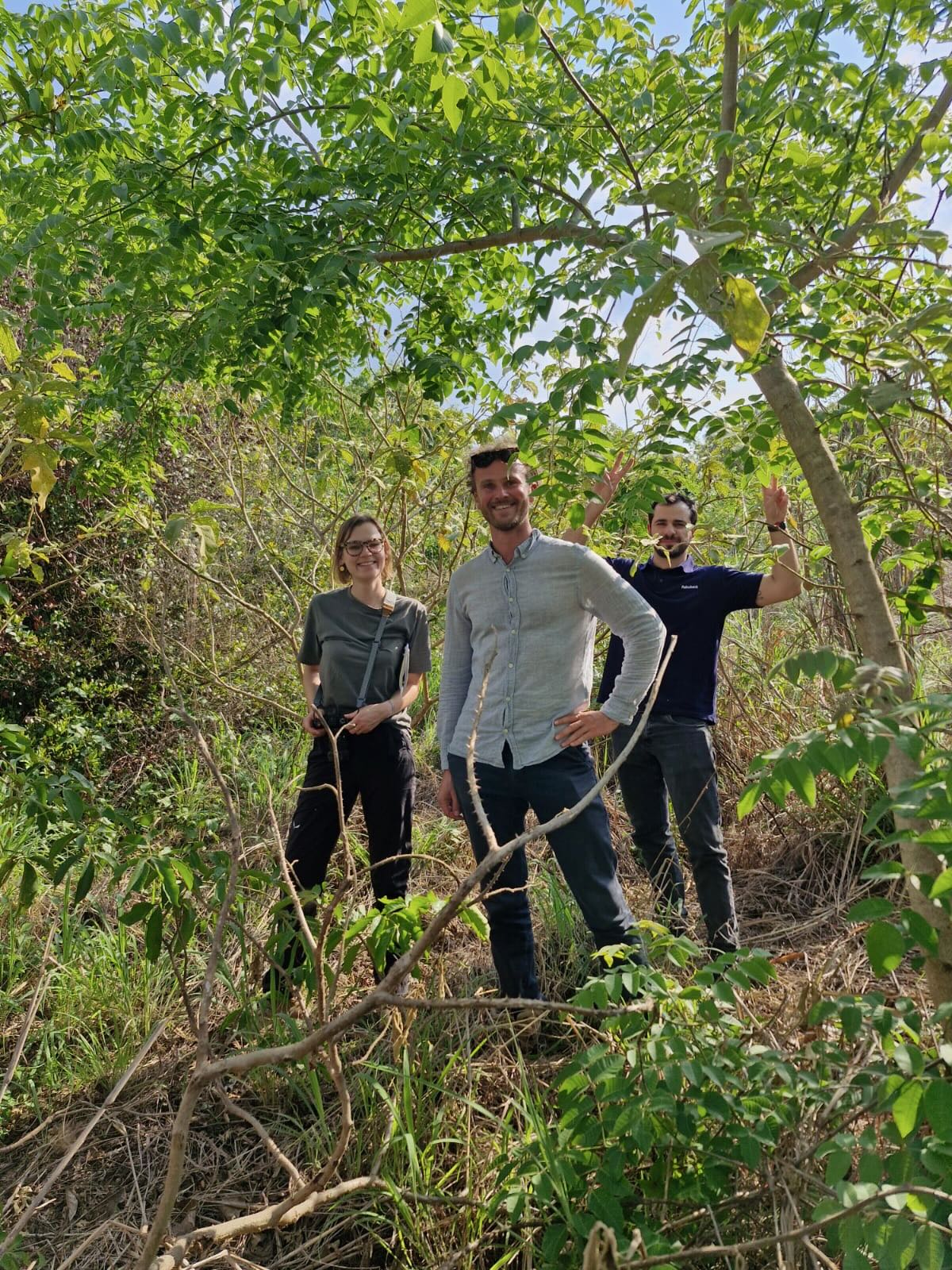 Carbon Bank - Rabobank. image toon de grens tussen natuur en agricultuur in een braziliaans regenwoud. Initiatieven van de carbon bank hebben in dit gebeid geleid tot reforestatie, betaald vanuit carbon credit market. Deze nieuwe business voor boeren is zowel goed voor de natuur als economisch voordelig. 3